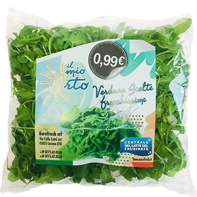 Rucola